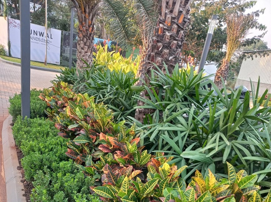 Greenscape Creation